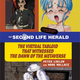Illustration for article titled Five Great Books About Video Game Culture